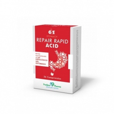 GSE Repair Rapid Acid 12...